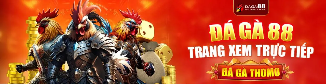 Đá gà trực tuyến OKVIP1 2026
